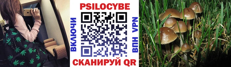 Галлюциногенные грибы мухоморы  kraken ТОР  Куровское 